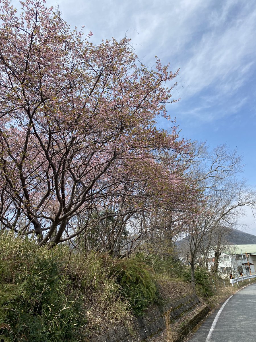 ラン虎（ぐっち、にしやん） tweet media