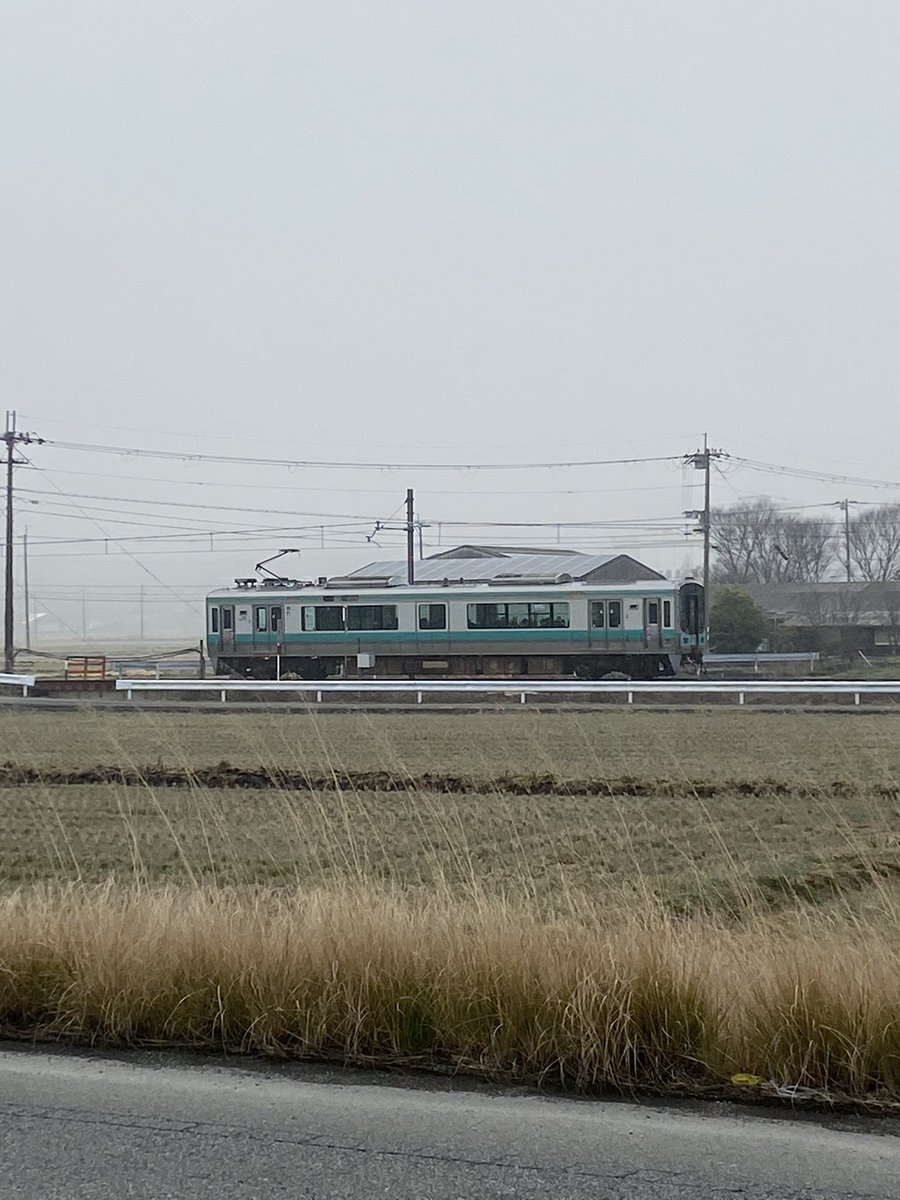 ラン虎（ぐっち、にしやん） tweet media