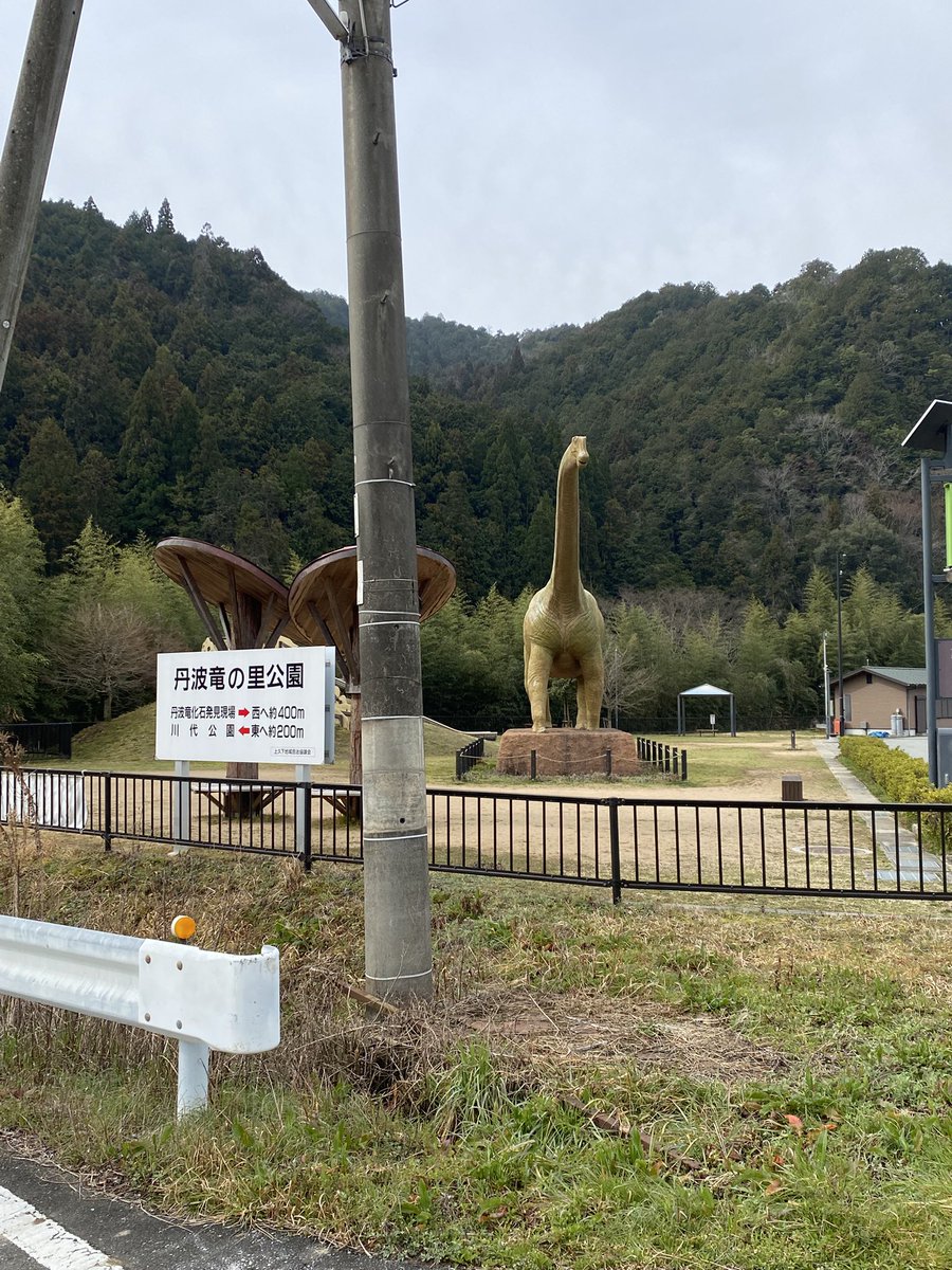 ラン虎（ぐっち、にしやん） tweet media