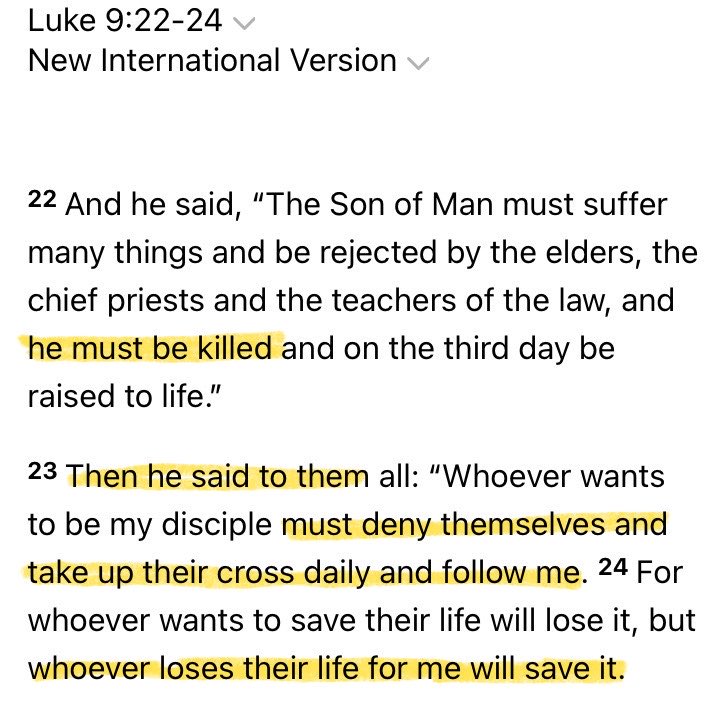 Gabriel Serafin tweet media