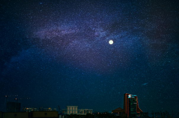 Victoria Lynn Collins tweet media