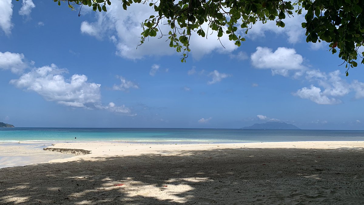 Pablo Memescobar 🐈 tweet media