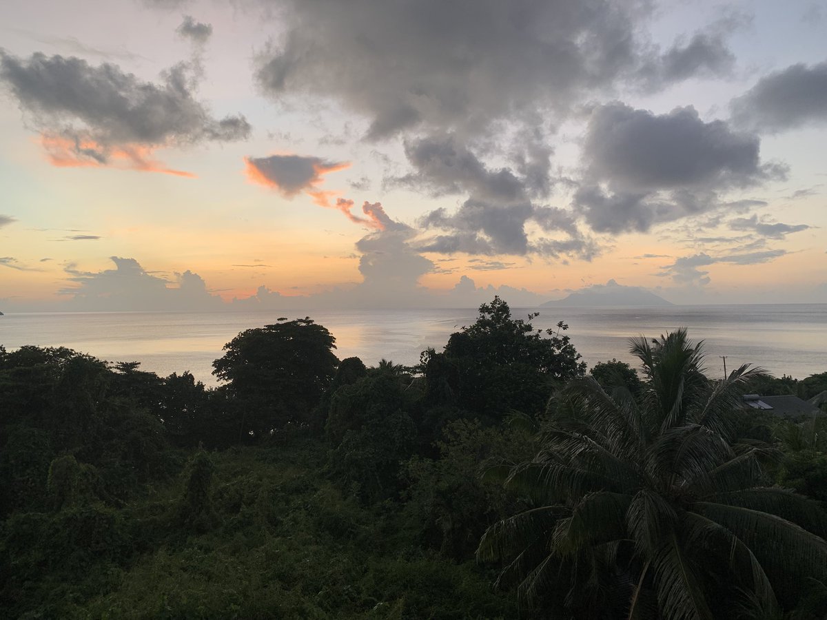 Pablo Memescobar 🐈 tweet media