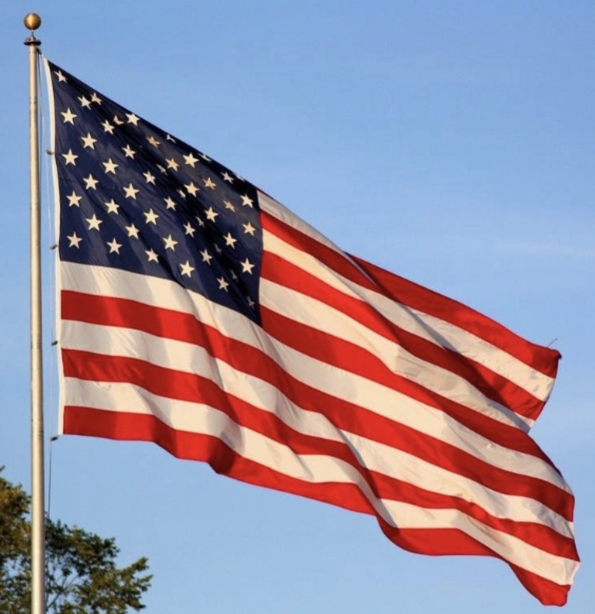 Clint Trial tweet media