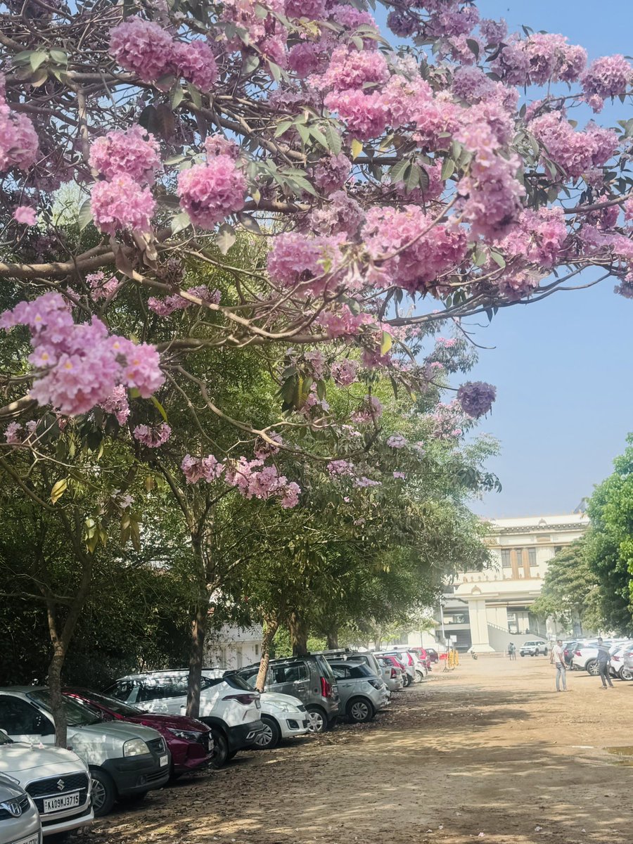 Dr Lakshmi Nagendra MD,DM (ENDO) tweet media