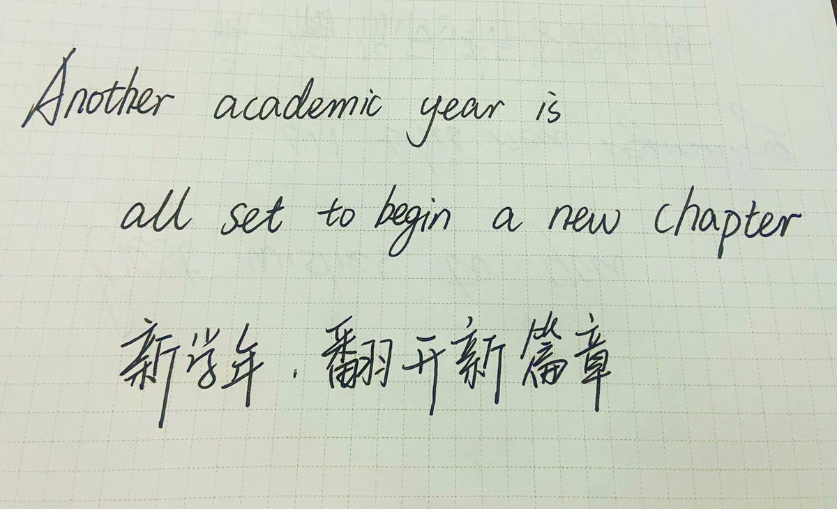 gagliardi.bruno tweet media