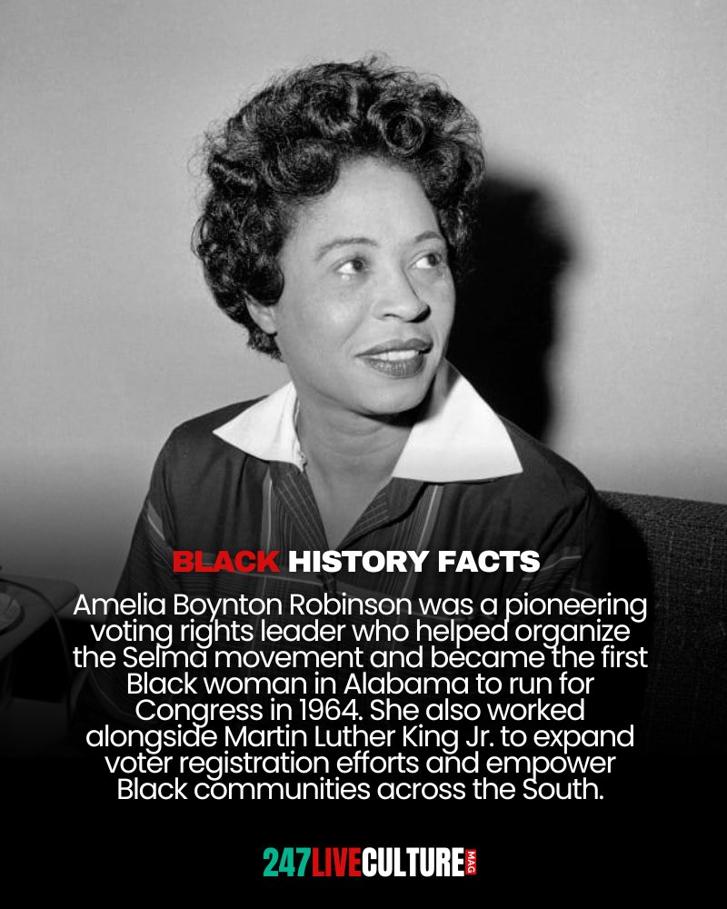 247 Live Culture tweet media