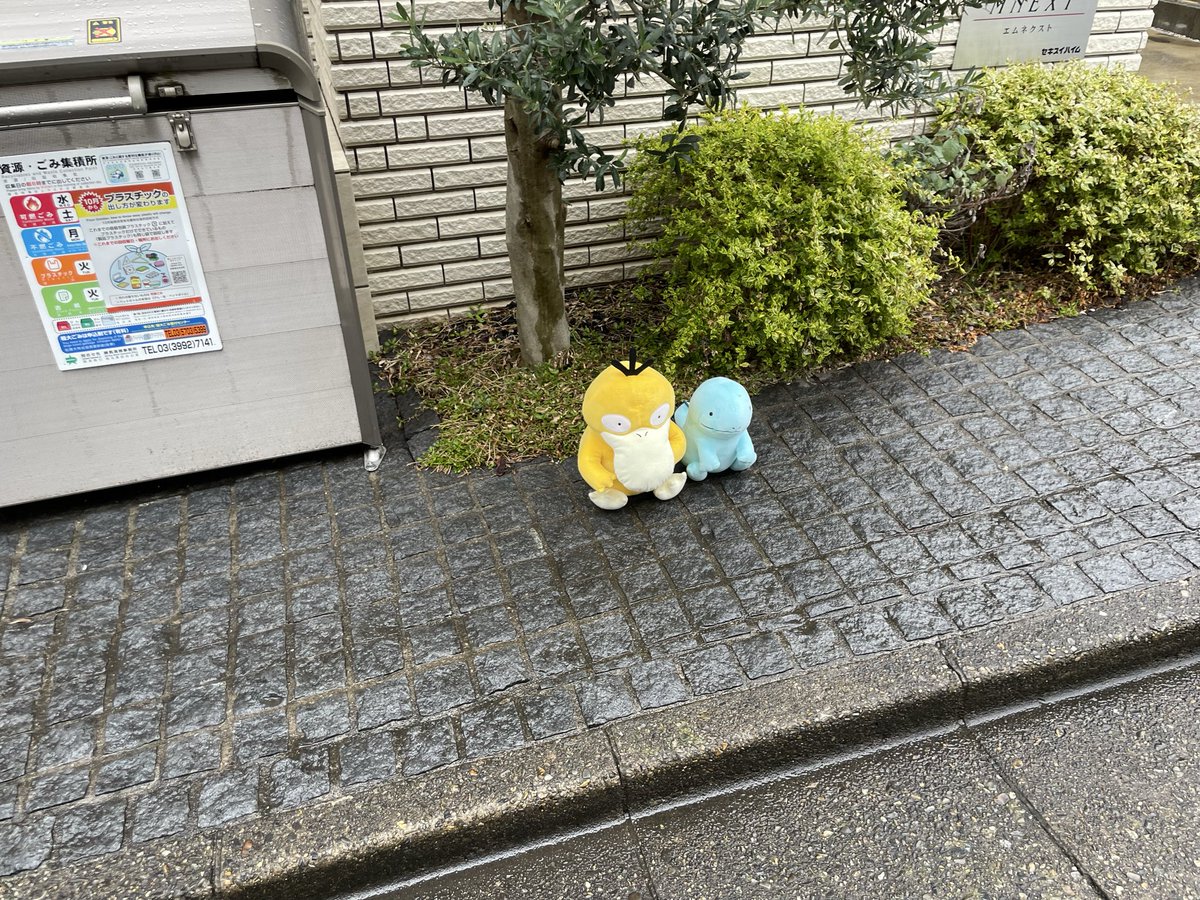 近所になんかいた