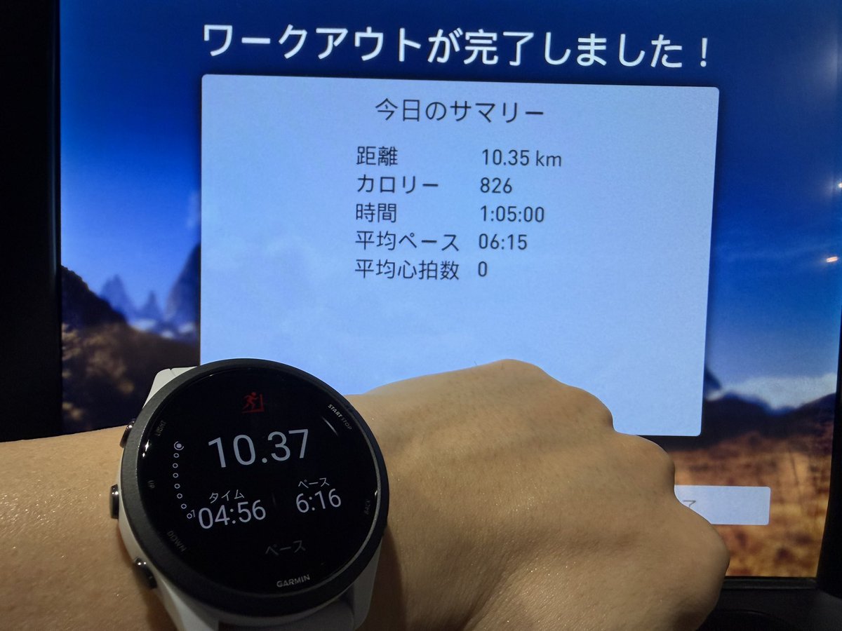 🍚あるぴ💮 tweet media