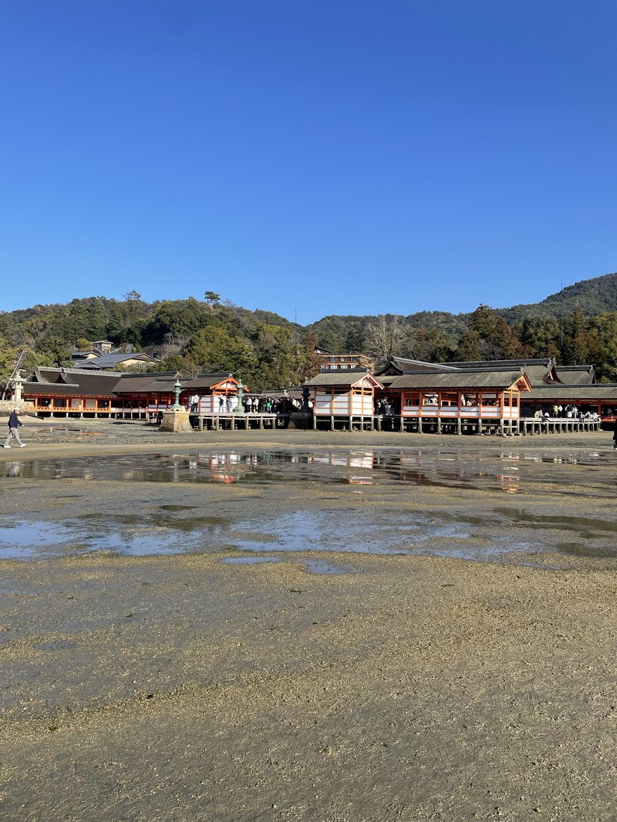 TravelMemonu's tweet photo. 【広島・宮島】厳島神社に行ってきました⛩️

✔ 満潮と干潮どっちがいい？  
✔ 写真ってどれくらい並ぶ？  
✔ 宿泊するメリットは？

実際に行って分かったリアルをまとめています👇  

▶ 記事はこちら
https://t.co/aA7WPGG7G4

#宮島　#厳島神社 https://t.co/su44PJrY3z