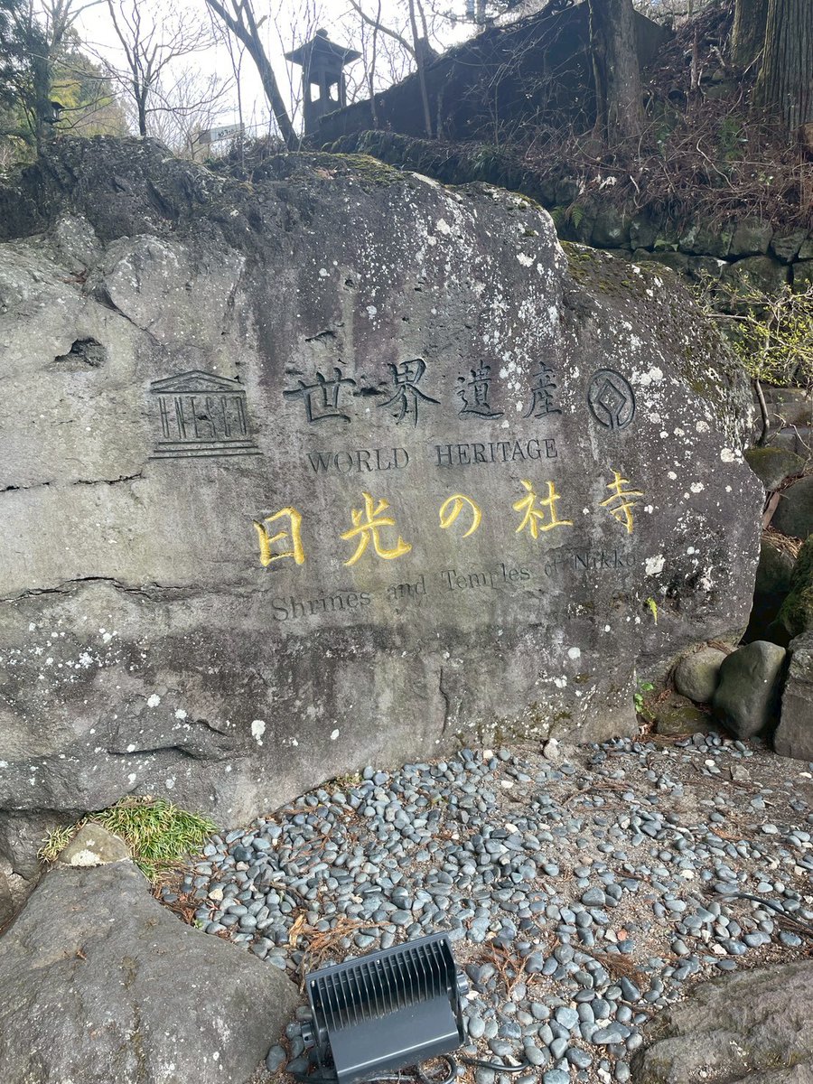 ベンティー tweet media