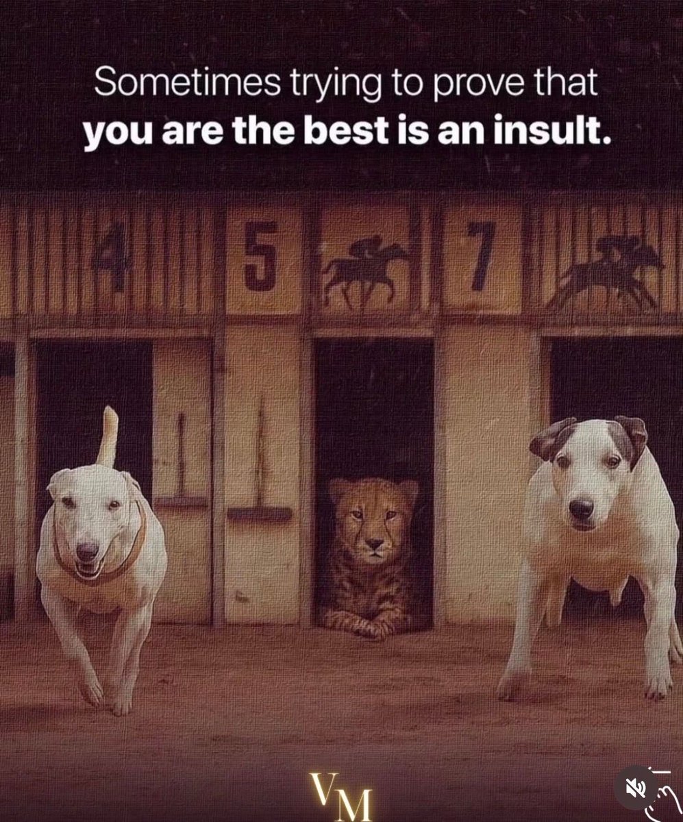 Werner Lindemann tweet media