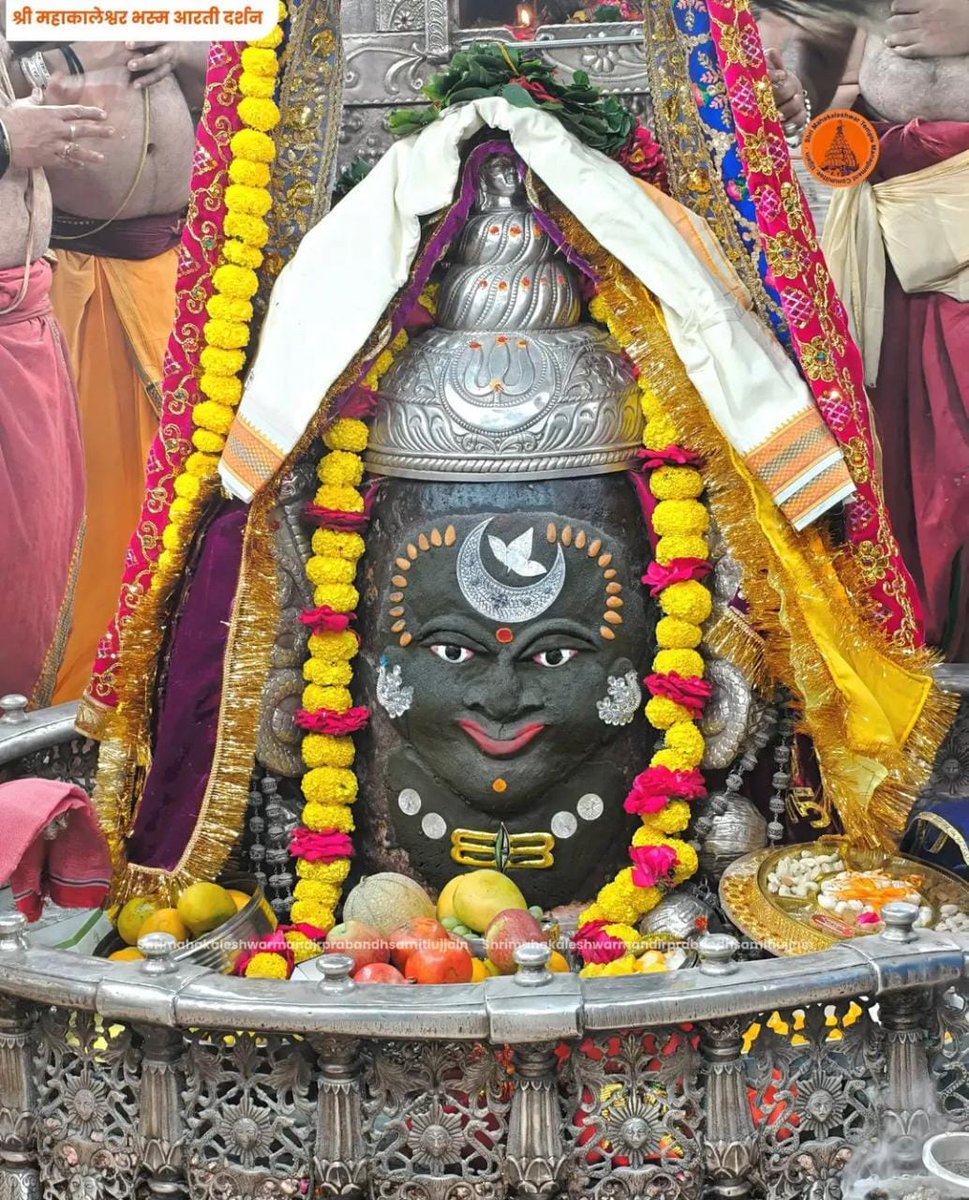 🙏 PRADHAN JI🌹 tweet media