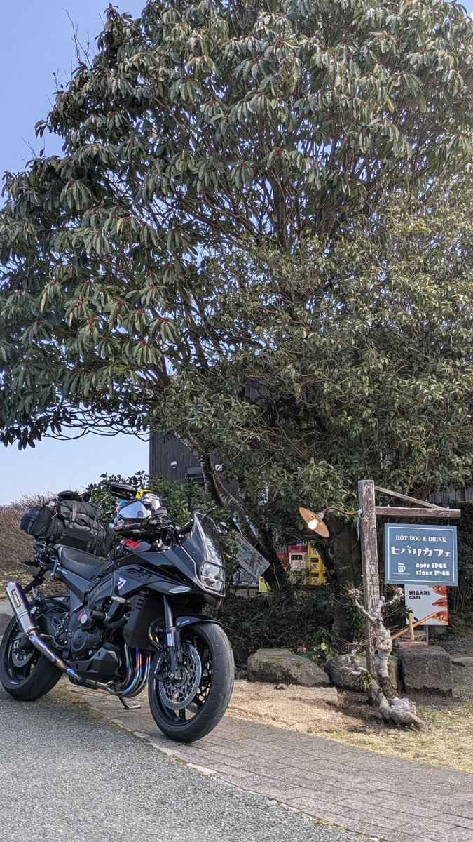 gososuke@revival＆go tweet media