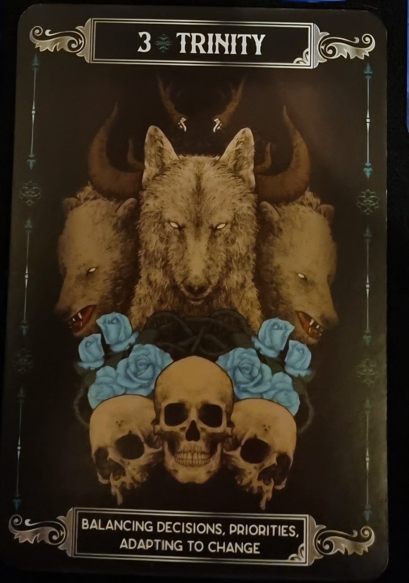 White Rabbit Oracles tweet media