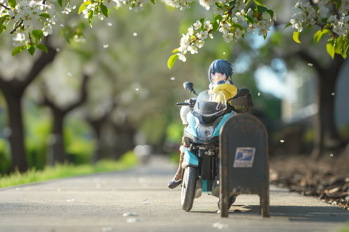 陶格曼 tweet media