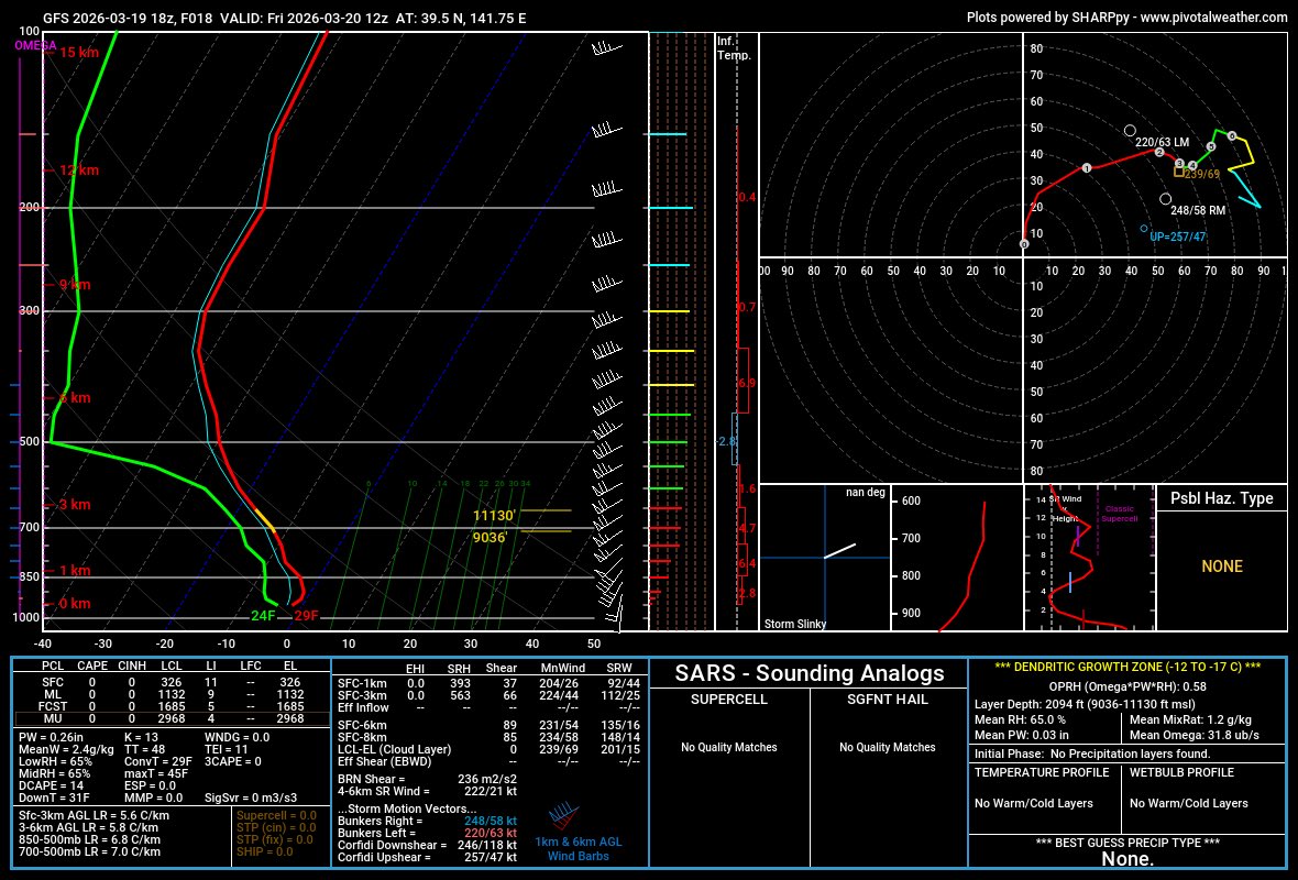 Grace Cohen 🌪️ tweet media