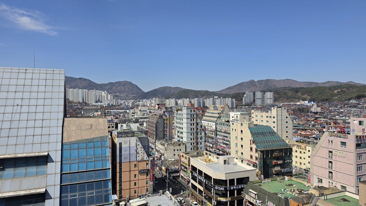 감별RuleOut tweet media