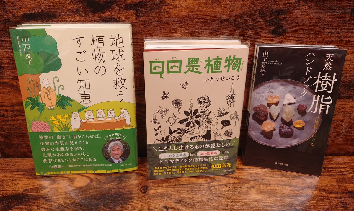 弥生坂　緑の本棚 tweet media