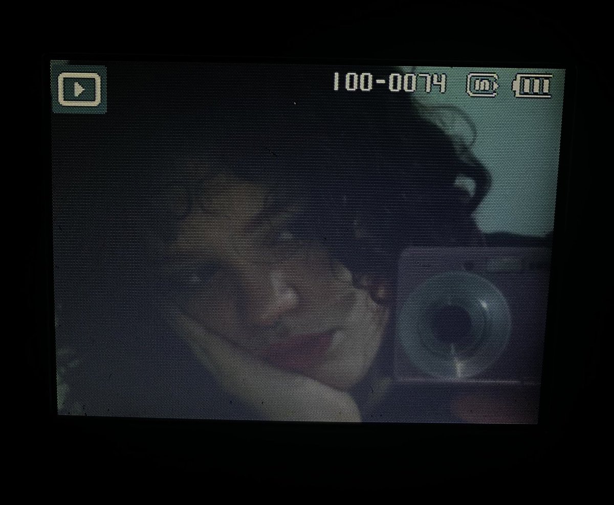 maxi ⚢ NAIL tweet media