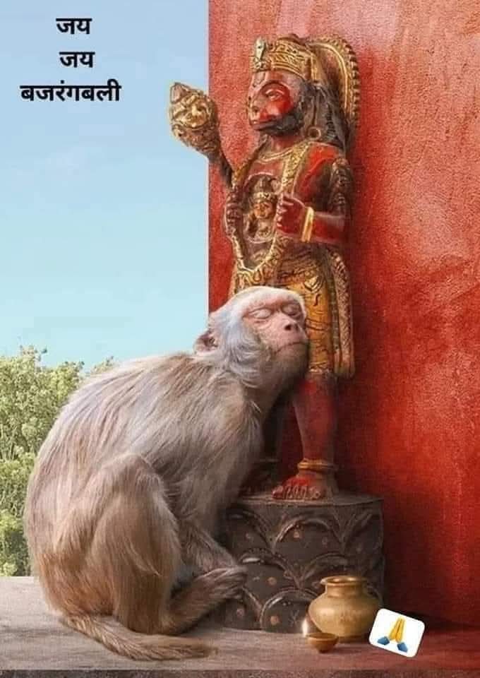 IM AJMER tweet media