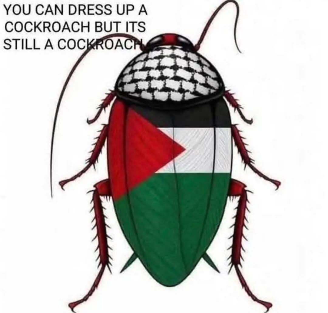 I Libregts tweet media