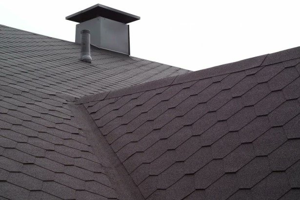 Jussi Kiviniitty 🇫🇮 🦥🦠🌻 tweet media