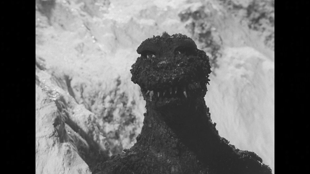 EvolvedGoji24 tweet media