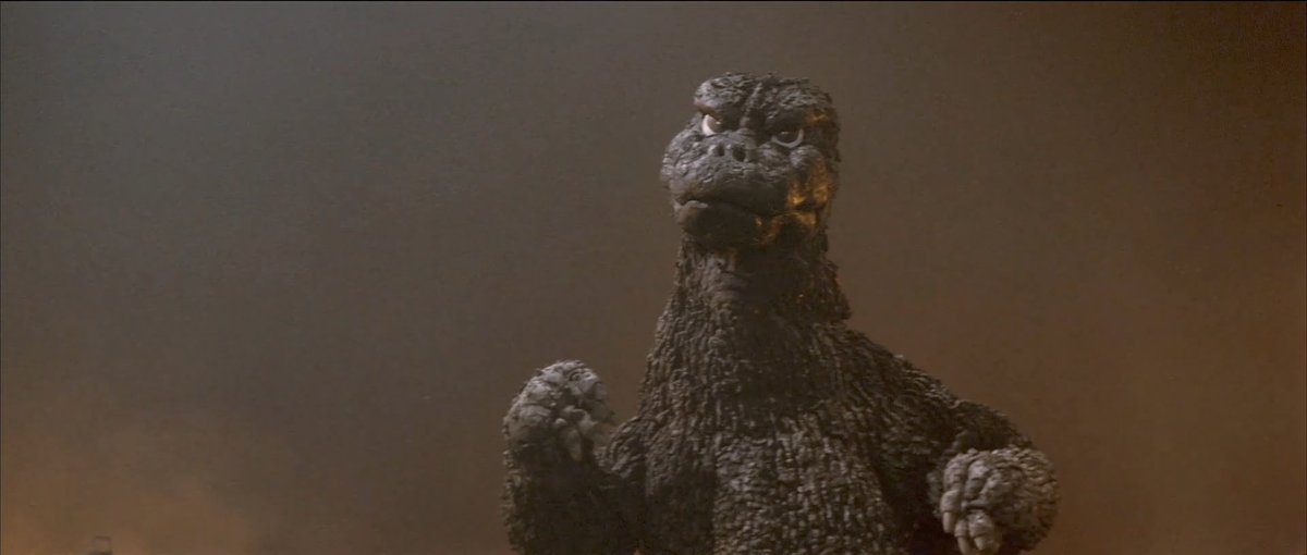 EvolvedGoji24 tweet media