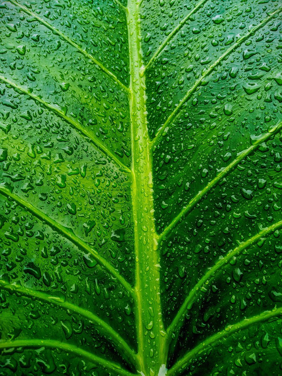 Crypty Universe📊 tweet media