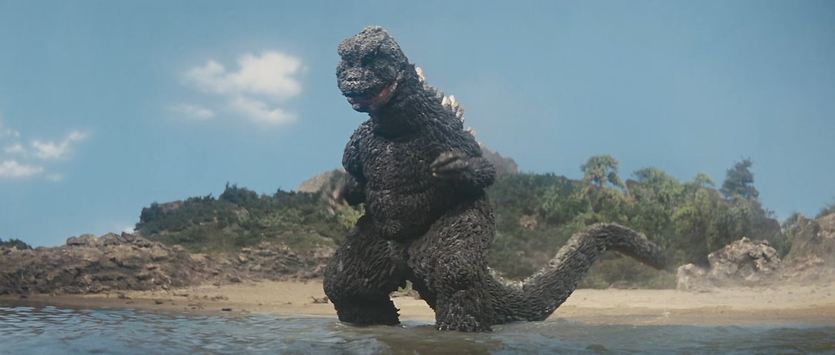 EvolvedGoji24 tweet media