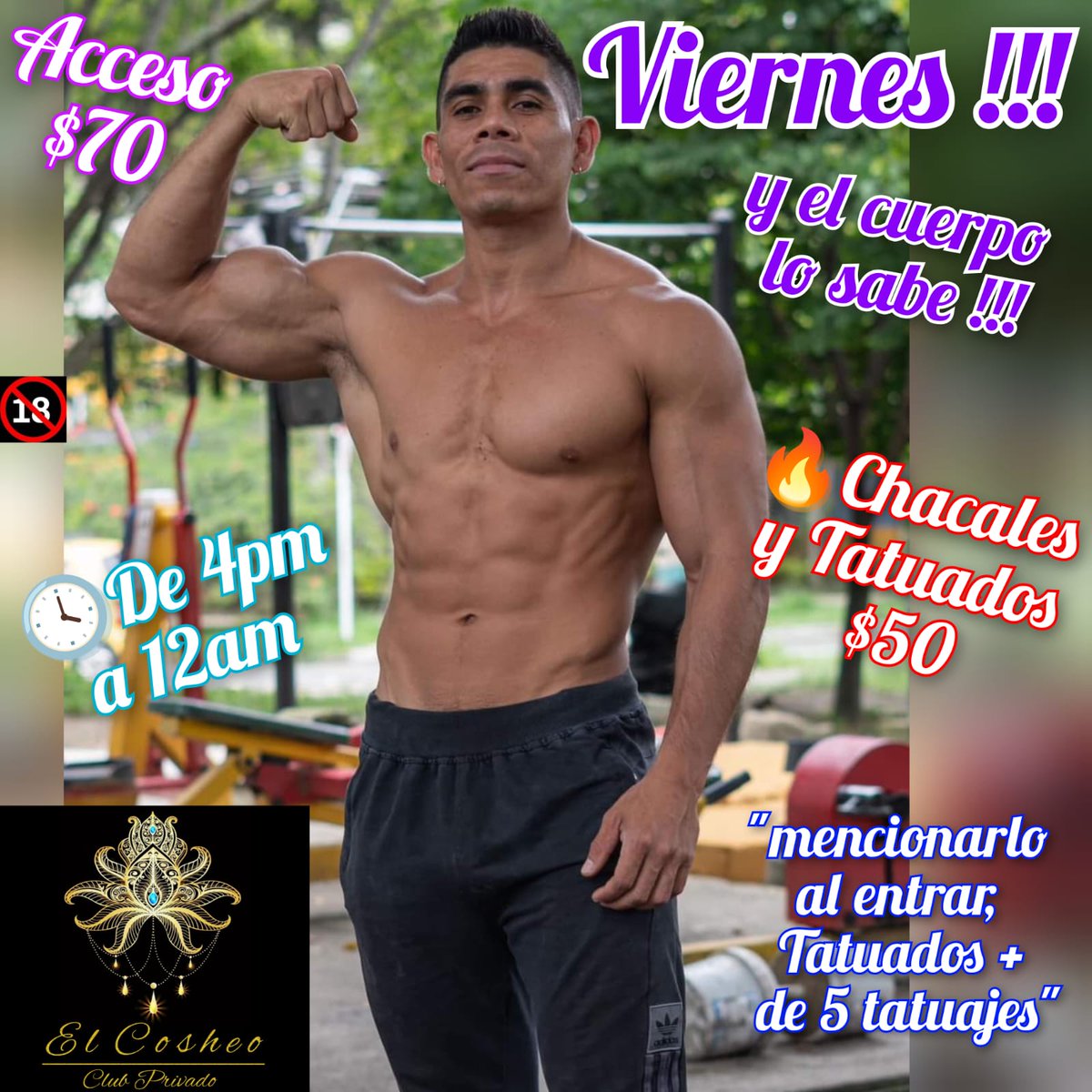 El Cosheo tweet media