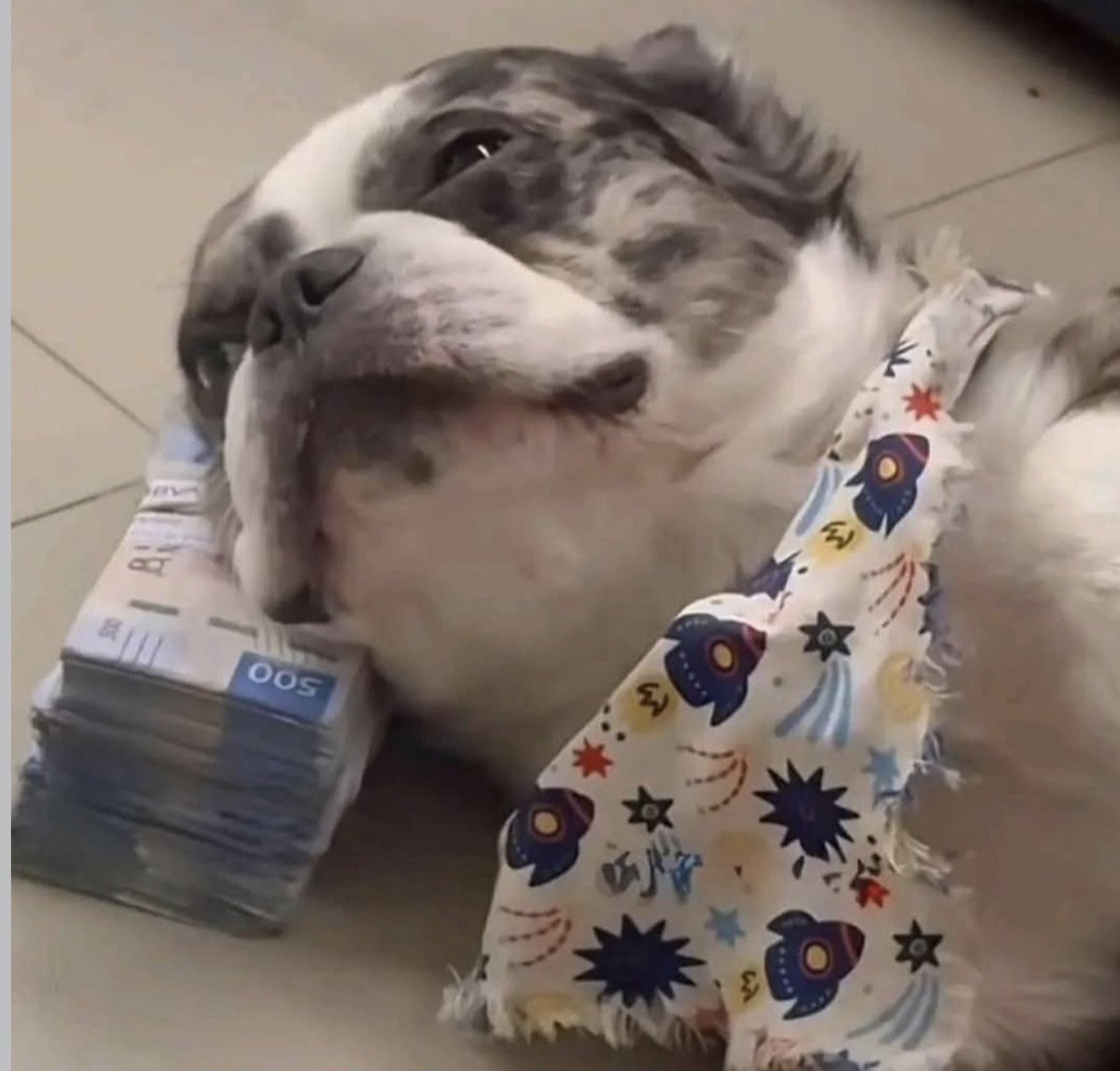 — ¿Qué necesitas para dormir bien?

— Yo: