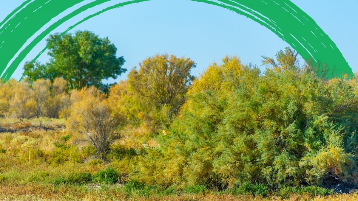 World Bank Group Climate and Environment tweet media