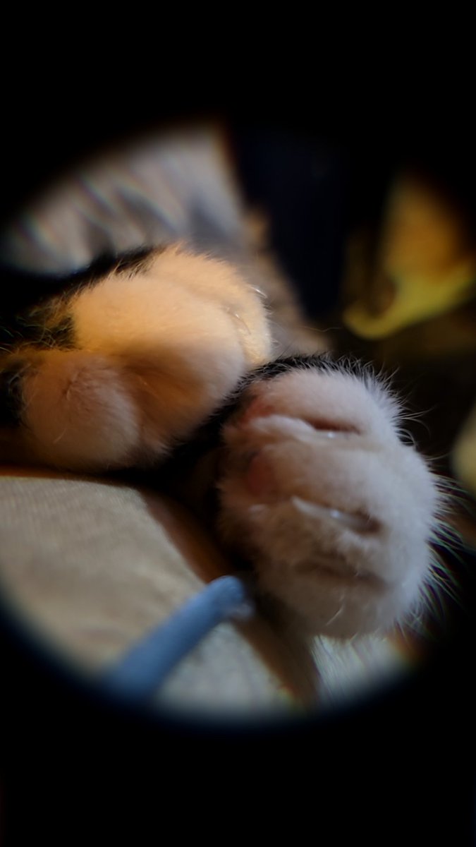 Tabitha John tweet media