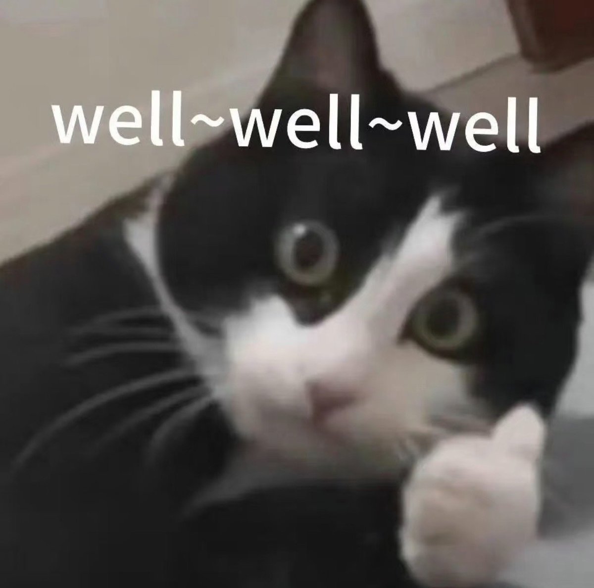 币安Binance华语 tweet media