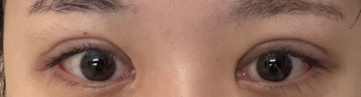 🍣🍣 tweet media