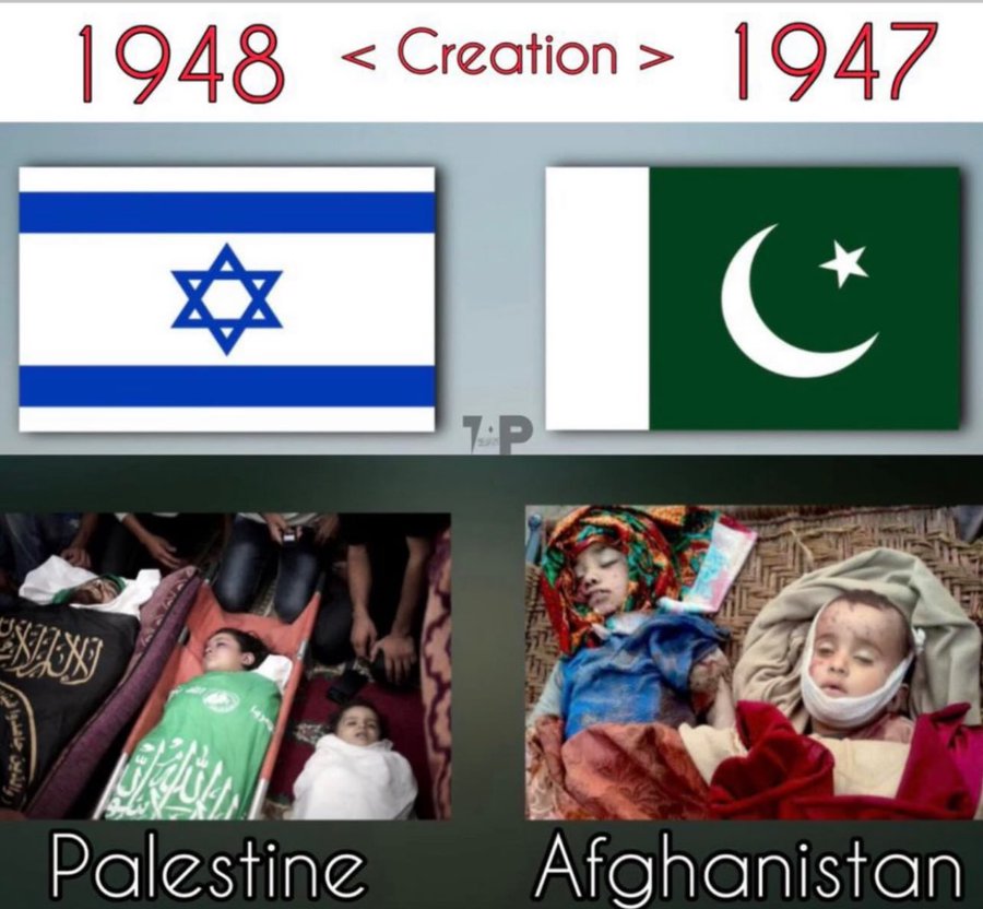 Maverick tweet media