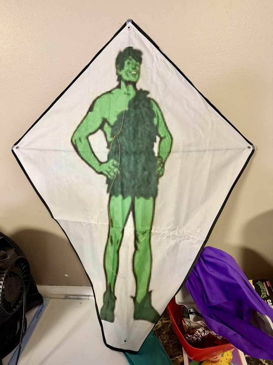 Amy DiGi tweet media