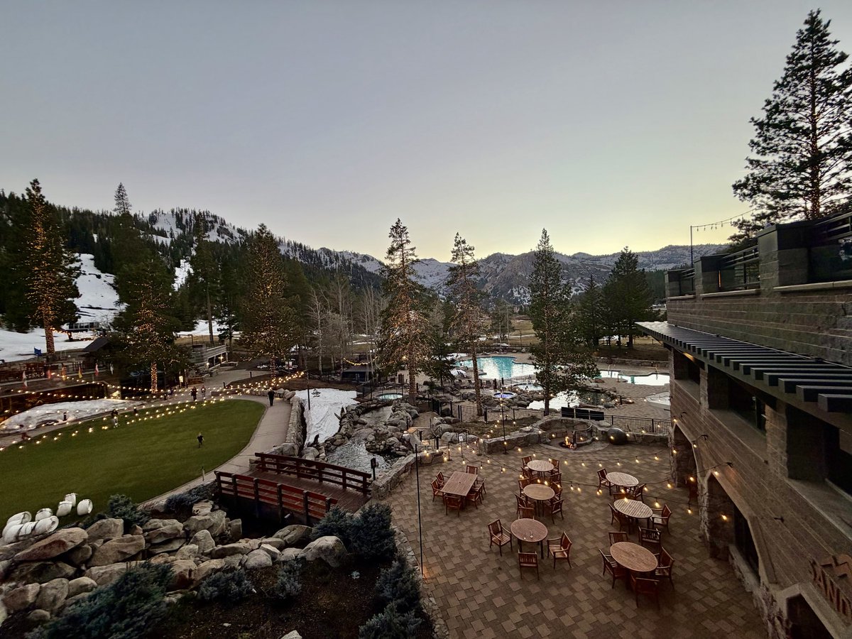 ~dorsen-witnes tweet media