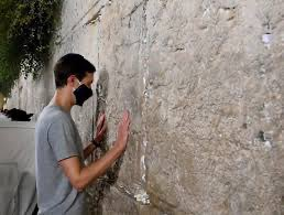 Dr. Simon Goddek tweet media