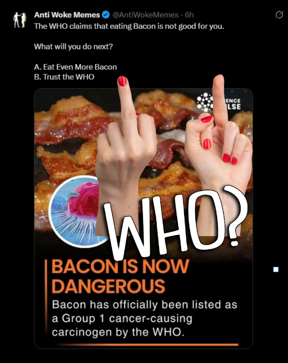 BadTexanKitty tweet media