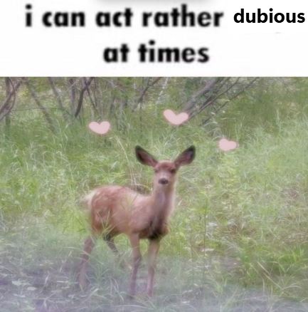 John fawn tweet media