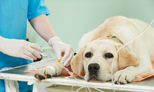 PropertyCasualty360 tweet media