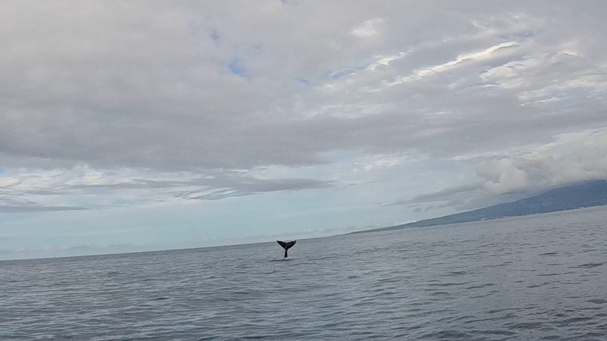 Violet Flynn tweet media