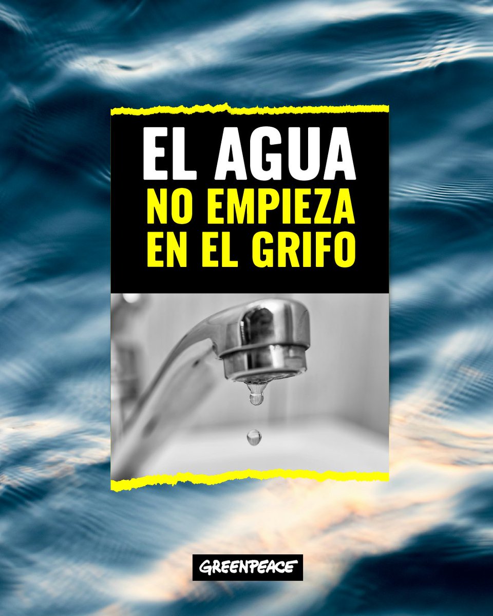 Greenpeace Colombia tweet media