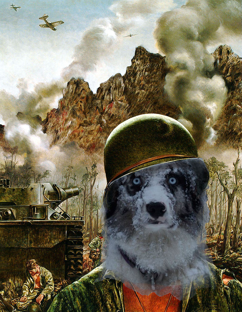 Wolfsinn tweet media