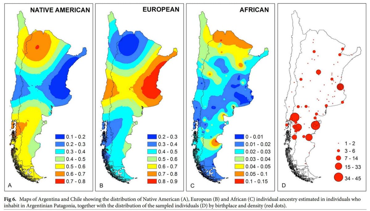 Bacchus 🍷 tweet media