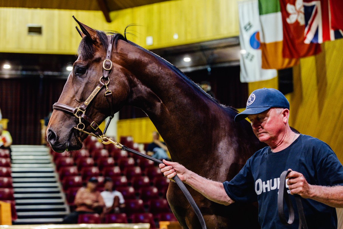 New Zealand Bloodstock tweet media