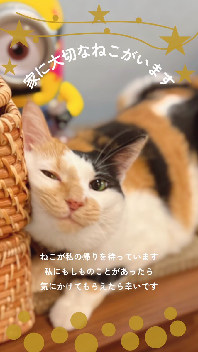 オキエイコ tweet media